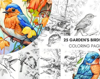 25 pagina's tuinvogels kleurboek voor kinderen volwassenen, kleurplaten, betoverde tuin, sprookje printables, PDF
