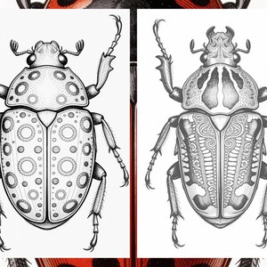 Brilliant Beetle Coloring Pages for Adults, Cute Beetle Coloring Book Digital Download, Insect Coloring Sheets for Adults Printable PDF