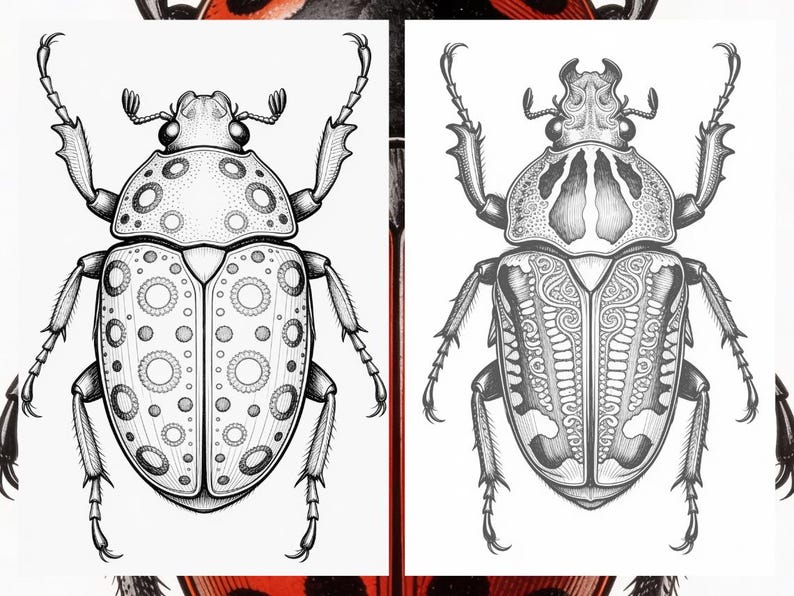 Brilliant Beetle Coloring Pages for Adults, Cute Beetle Coloring Book Digital Download, Insect Coloring Sheets for Adults Printable PDF