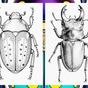 Brilliant Beetle Coloring Pages for Adults, Cute Beetle Coloring Book Digital Download, Insect Coloring Sheets for Adults Printable PDF