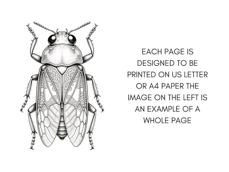 Brilliant Beetle Coloring Pages for Adults, Cute Beetle Coloring Book Digital Download, Insect Coloring Sheets for Adults Printable PDF