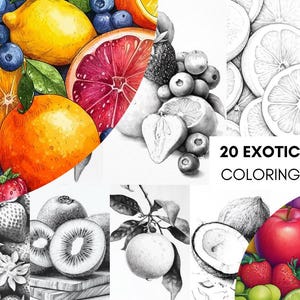 Fruit Coloring Pages for Adults, Exotic Fruit Coloring Sheets, Fruit Coloring Books for Kids Instant Digital Download Printable Pdf File