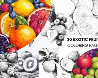 Fruit Coloring Pages for Adults, Exotic Fruit Coloring Sheets, Fruit Coloring Books for Kids Instant Digital Download Printable Pdf File