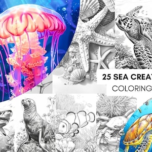 Creature Coloring, Magical Fantasy Coloring Book Pages for Kids Adults, Enchanted NATURE Forest COLORING PAGES – Fantastical Adult Design