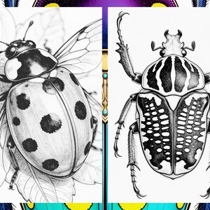 Brilliant Beetle Coloring Pages for Adults, Cute Beetle Coloring Book Digital Download, Insect Coloring Sheets for Adults Printable PDF