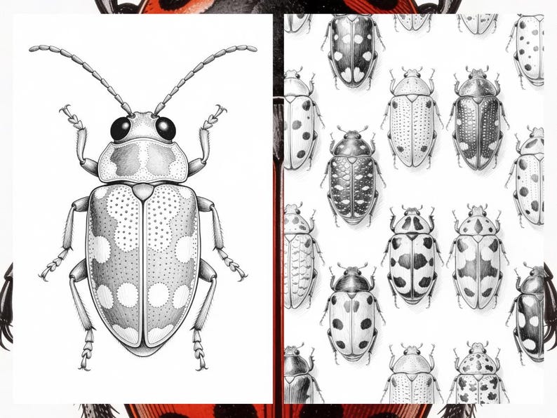 Brilliant Beetle Coloring Pages for Adults, Cute Beetle Coloring Book Digital Download, Insect Coloring Sheets for Adults Printable PDF