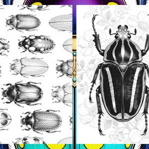 Brilliant Beetle Coloring Pages for Adults, Cute Beetle Coloring Book Digital Download, Insect Coloring Sheets for Adults Printable PDF