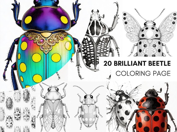 Páginas para Colorear de Escarabajos Brillantes para Adultos Libro de Colorear para Adultos de Insectos Escarabajos Descarga Instantánea PDF