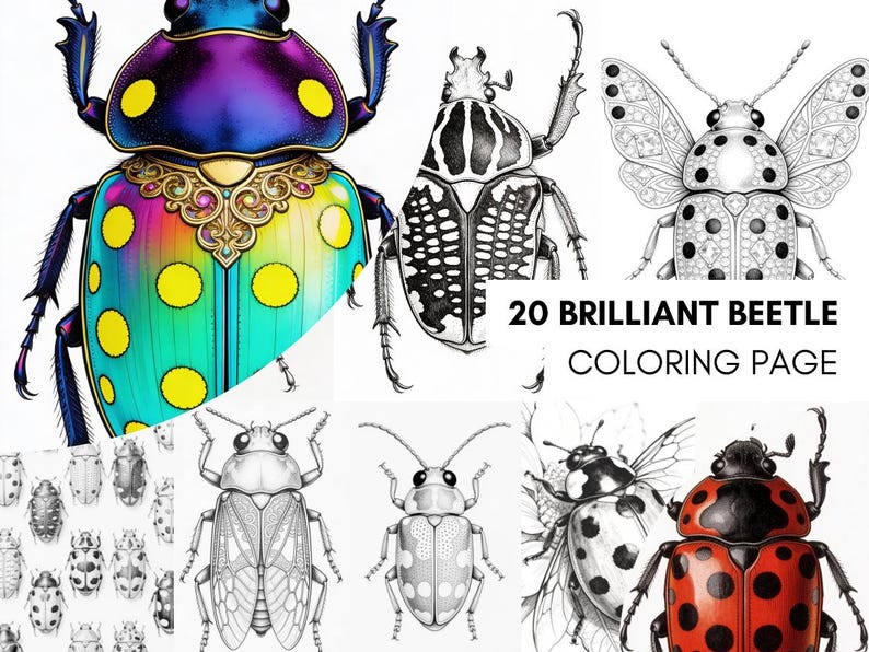 Brilliant Beetle Coloring Pages for Adults, Cute Beetle Coloring Book Digital Download, Insect Coloring Sheets for Adults Printable PDF