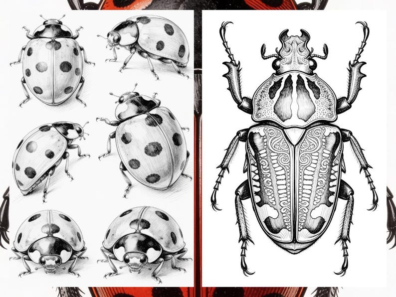 Brilliant Beetle Coloring Pages for Adults, Cute Beetle Coloring Book Digital Download, Insect Coloring Sheets for Adults Printable PDF