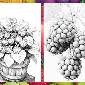 Fruit Coloring Pages for Adults, Exotic Fruit Coloring Sheets, Fruit Coloring Books for Kids