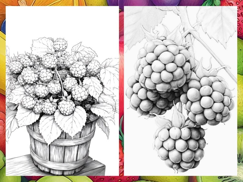Fruit Coloring Pages for Adults, Exotic Fruit Coloring Sheets, Fruit Coloring Books for Kids