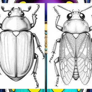 Brilliant Beetle Coloring Pages for Adults, Cute Beetle Coloring Book Digital Download, Insect Coloring Sheets for Adults Printable PDF