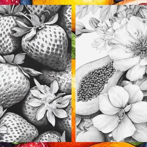Fruit Coloring Pages for Adults, Exotic Fruit Coloring Sheets, Fruit Coloring Books for Kids