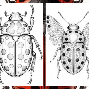Brilliant Beetle Coloring Pages for Adults, Cute Beetle Coloring Book Digital Download, Insect Coloring Sheets for Adults Printable PDF