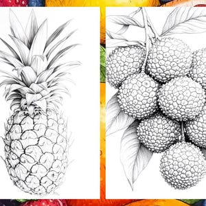 Fruit Coloring Pages for Adults, Exotic Fruit Coloring Sheets, Fruit Coloring Books for Kids