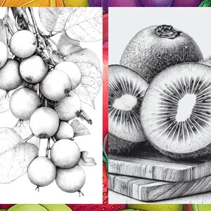 Fruit Coloring Pages for Adults, Exotic Fruit Coloring Sheets, Fruit Coloring Books for Kids