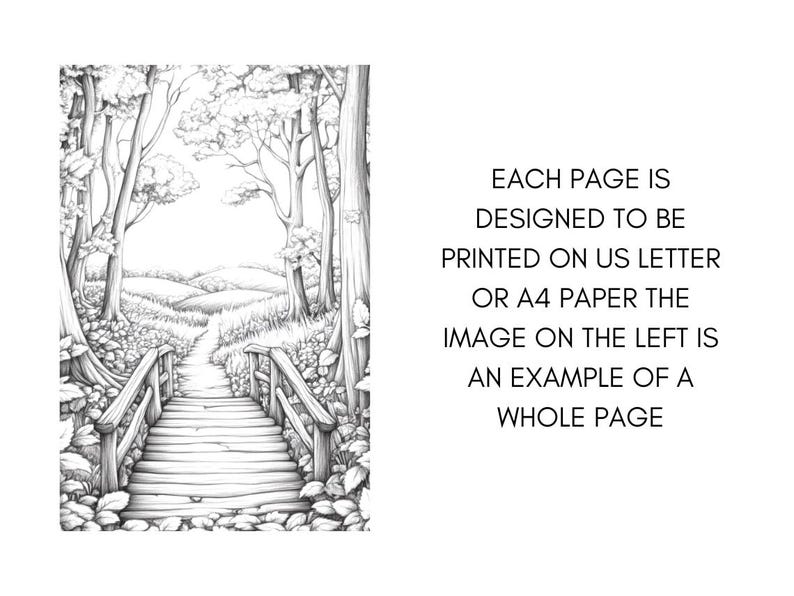 Fall Coloring Book Autumn Landscape Coloring Pages, Pumpkin Coloring Sheets for Adult Digital Download PDF, Enchanted Forest Printable Book