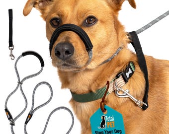 Rope Figure of Dog Lead Halti Head Collar With Nose Padding - Main Image