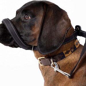 Dog and field hot sale figure of 8 lead