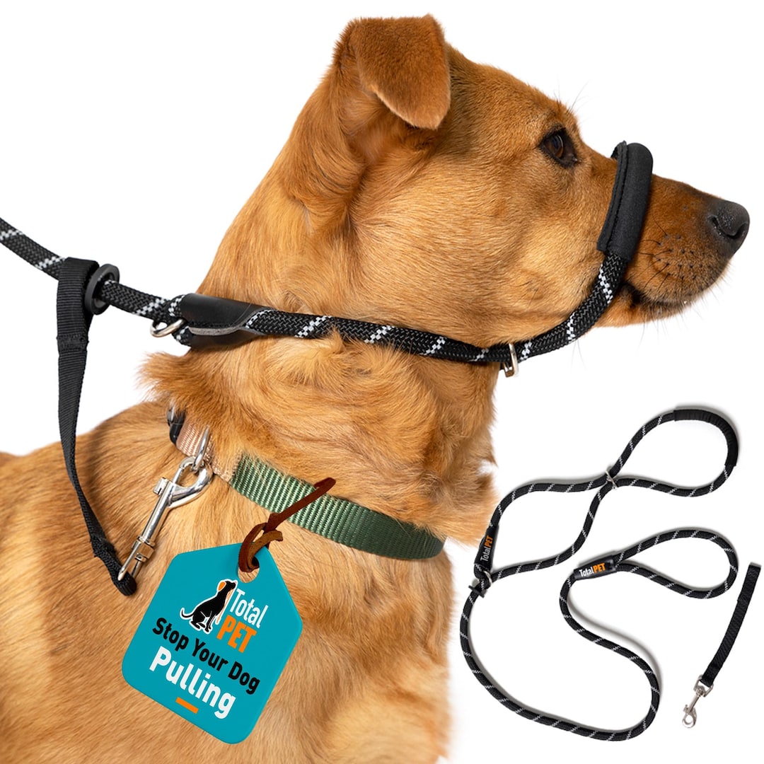 howling dog harness