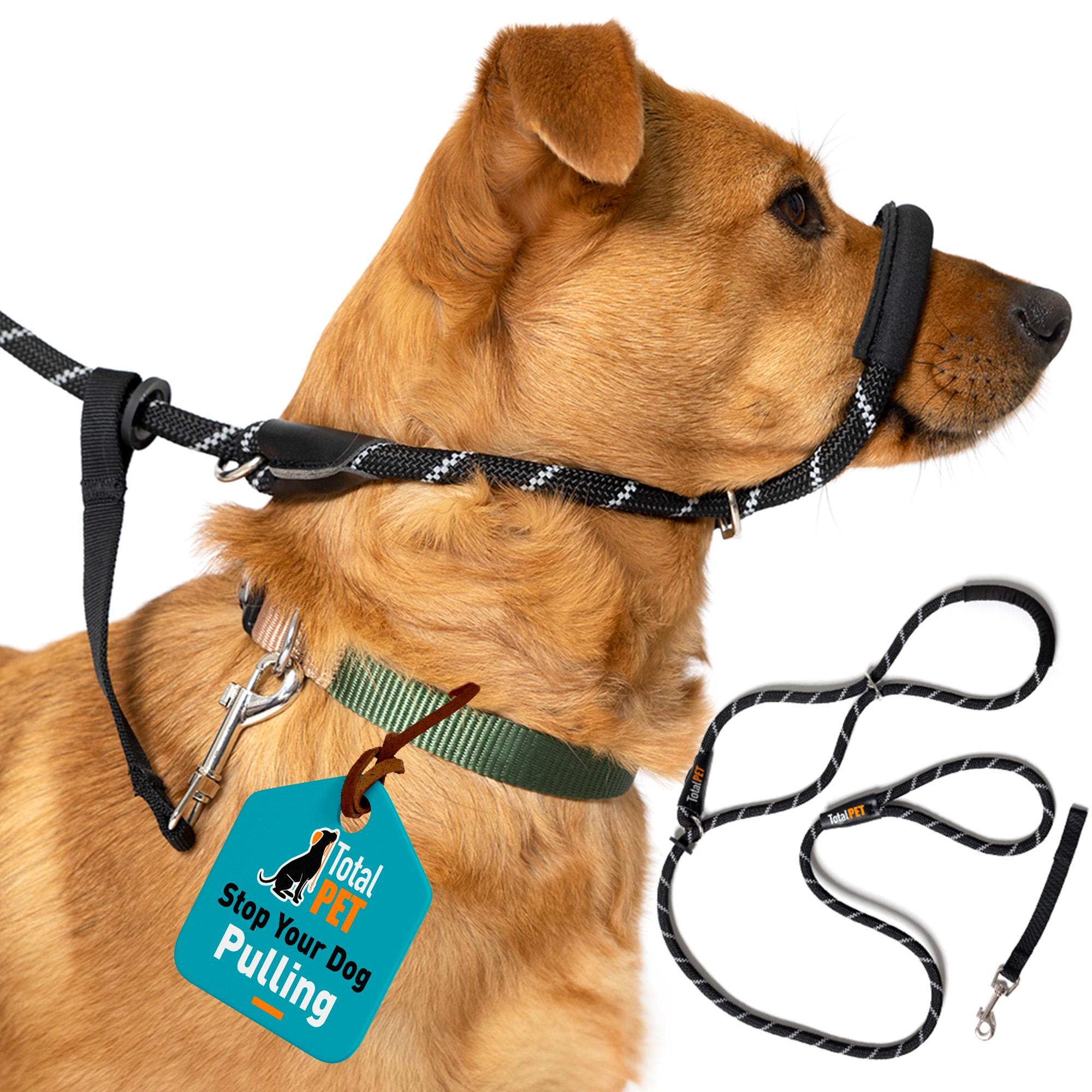 how do you stop a dog from pulling