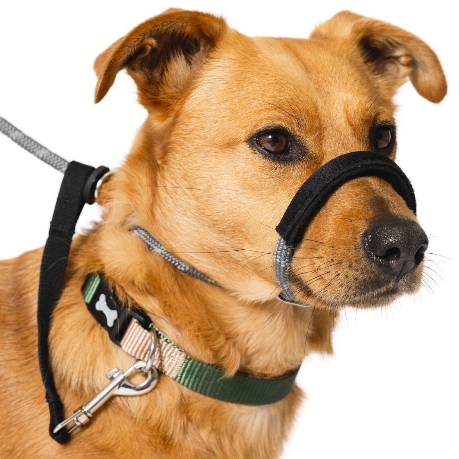 Rope Figure of 8 Dog Lead Halti Head Collar With Nose Padding and Collar Attachment Stop Your