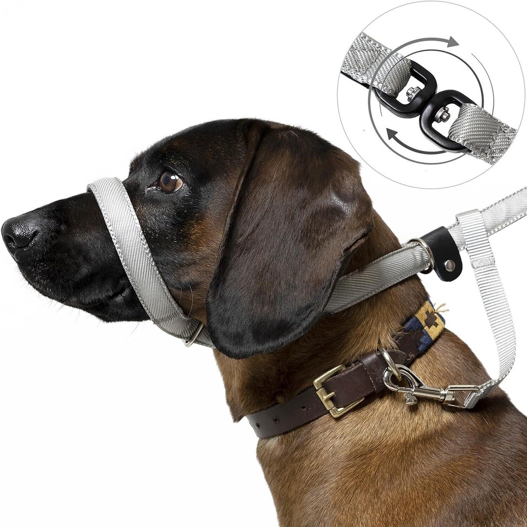 Total Pet Anti Tangle Flat Figure of 8 Dog Lead Halti Head Collar W/padding & Collar Attachment