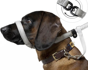 Total Pet Anti Tangle Flache Figur von 8 Hundeleine Halti Kopfhalsband mit Polsterung und Halsbandbefestigung - Hören Sie auf zu ziehen und genießen Sie wieder Spaziergänge!