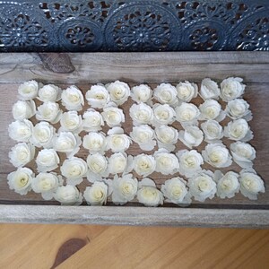 ROSEN Deko,einzelrosen(50st.), scrabbooking,basteln,Geburtstag,geschenk,Papier,Karten gestalten,wanddeko