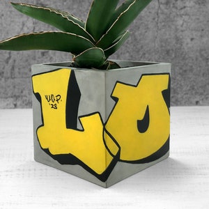 Jardinière graffiti | Jardinière pour cactus et succulentes | Art urbain | Jolie jardinière de bureau | Jardinière carrée en béton