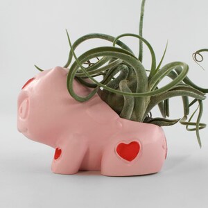 May include: A pink ceramic pig planter with red hearts, holding a green air plant.