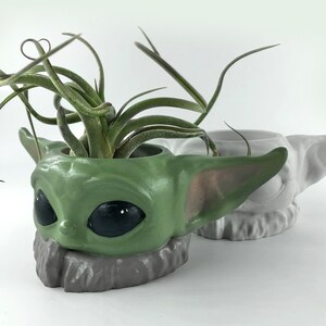 May include: A green and grey ceramic planter shaped like a character from the Star Wars franchise, with a small air plant growing inside.