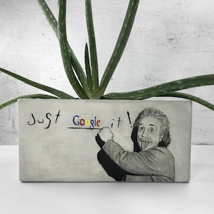 May include: A grey concrete planter with a black and white image of Albert Einstein writing "Just Google it!" on a chalkboard. The planter has a green succulent plant growing in it.