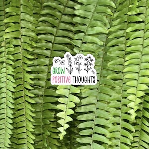 Adesivo "Coltiva pensieri positivi" / Adesivo per la consapevolezza della salute mentale / Arte botanica ispiratrice / Regalo per la cura di sé / Adesivo