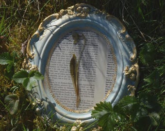 Sztuka vintage: Botaniczna sztuka ścienna połączona z wystrojem w stylu shabby chic, przebiśniegi z suszonymi kwiatami na stronie antycznej książki, unikatowy egzemplarz