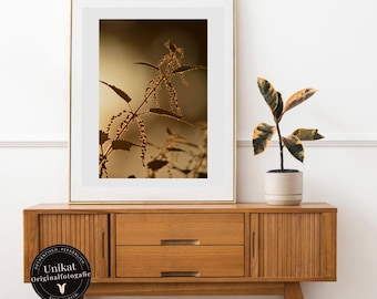 Sunrise Forest Photography Print: Nature Landscape Wall Art Misty Morning Poster, Golden Light Woodland Decor Artwork Brown, Gold