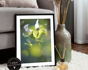 Nature photography: Breathe the calm, green leaf in the sunlight for hygge feeling