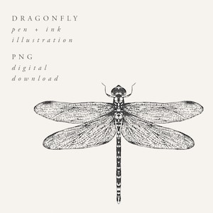 Dragonfly Illustration Digital Download, Insect Clipart, Botanical Dragonfly Drawing PNG Digital Download for Wall Art Invitations Crafts