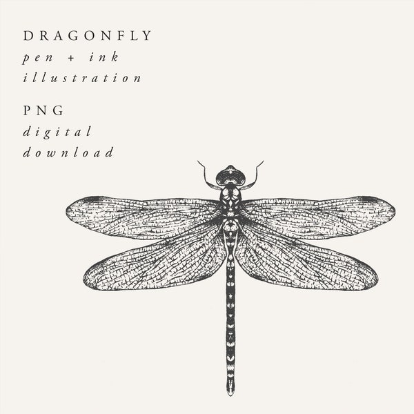 Dragonfly Illustration Digital Download, Insect Clipart, Botanical Dragonfly Drawing PNG Digital Download for Wall Art Invitations Crafts