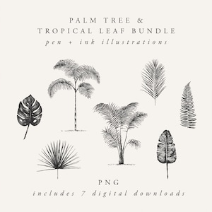 palm tree and tropical leaves illustration digital download