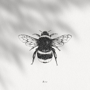 Bee Illustration Digital Download, Insect Clipart, Botanical Illustration, Bee Drawing PNG Digital Download for Wall Art Invitations Crafts