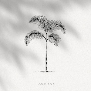 Op de afbeelding: Zwart-witte lijntekening van een palmboom met de tekst "Palm Tree" eronder.