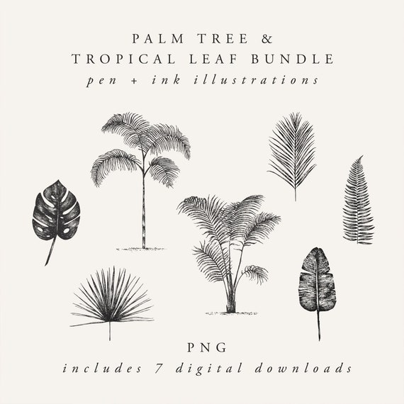 Palm Tree Illustration Bundle: Tropical Clipart PNG (Digital Download)
