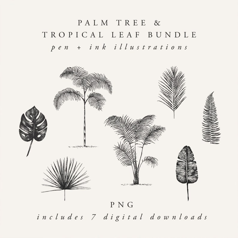 palm tree and tropical leaves illustration digital download