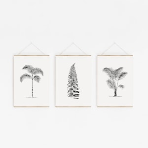 palm tree and tropical leaves illustration digital download