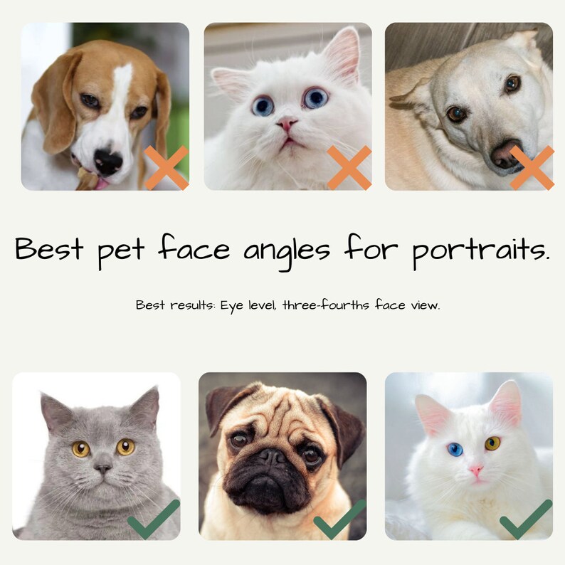 Custom pet portrait embroidery, Pet memorial, Thread painting, Dog and cat gift image 7