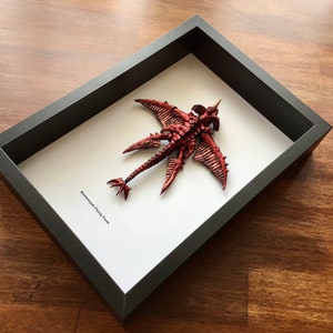 May include: A framed, red, detailed, skeletal, flying creature with wings and a long tail. The text "Desmodus Flying Form" is printed on the white mount.