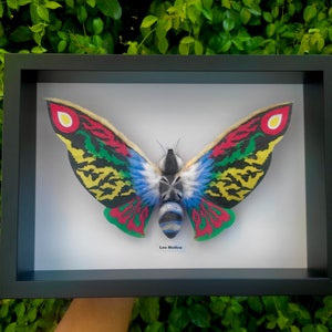 May include: A framed print of a colourful moth with red, yellow, green, and blue wings. The moth is displayed on a white background with the text "Leo Mothra" printed below it.