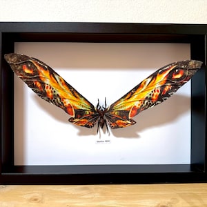 Peut inclure: Une impression encadrée d'un grand papillon aux motifs complexes avec des ailes orange, jaunes et noires. Le papillon est présenté sur un fond blanc avec le texte "Mathea 2024" en bas au centre.